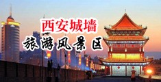 老头诱奸小处女中国陕西-西安城墙旅游风景区