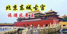 男女啪啪视频抽插噗嗤中国北京-东城古宫旅游风景区